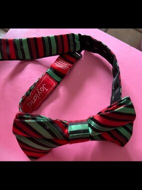 Joyland Red and Green Striped Silk Bow Tie